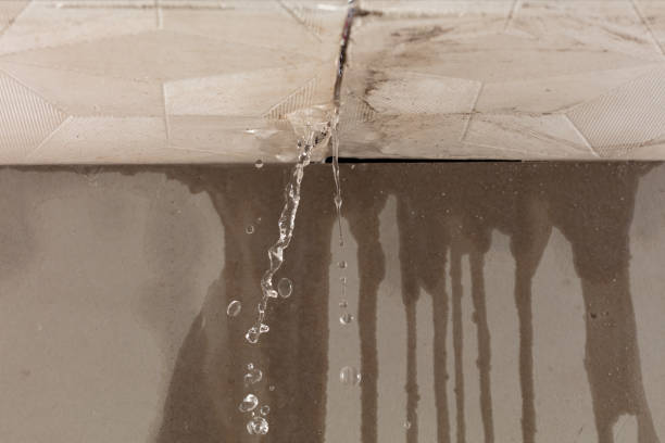 Professional Burst Pipe Cleanup technician working in Lansing, IL